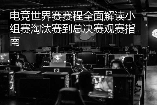 电竞世界赛赛程全面解读小组赛淘汰赛到总决赛观赛指南