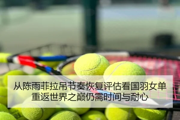 从陈雨菲拉吊节奏恢复评估看国羽女单重返世界之巅仍需时间与耐心